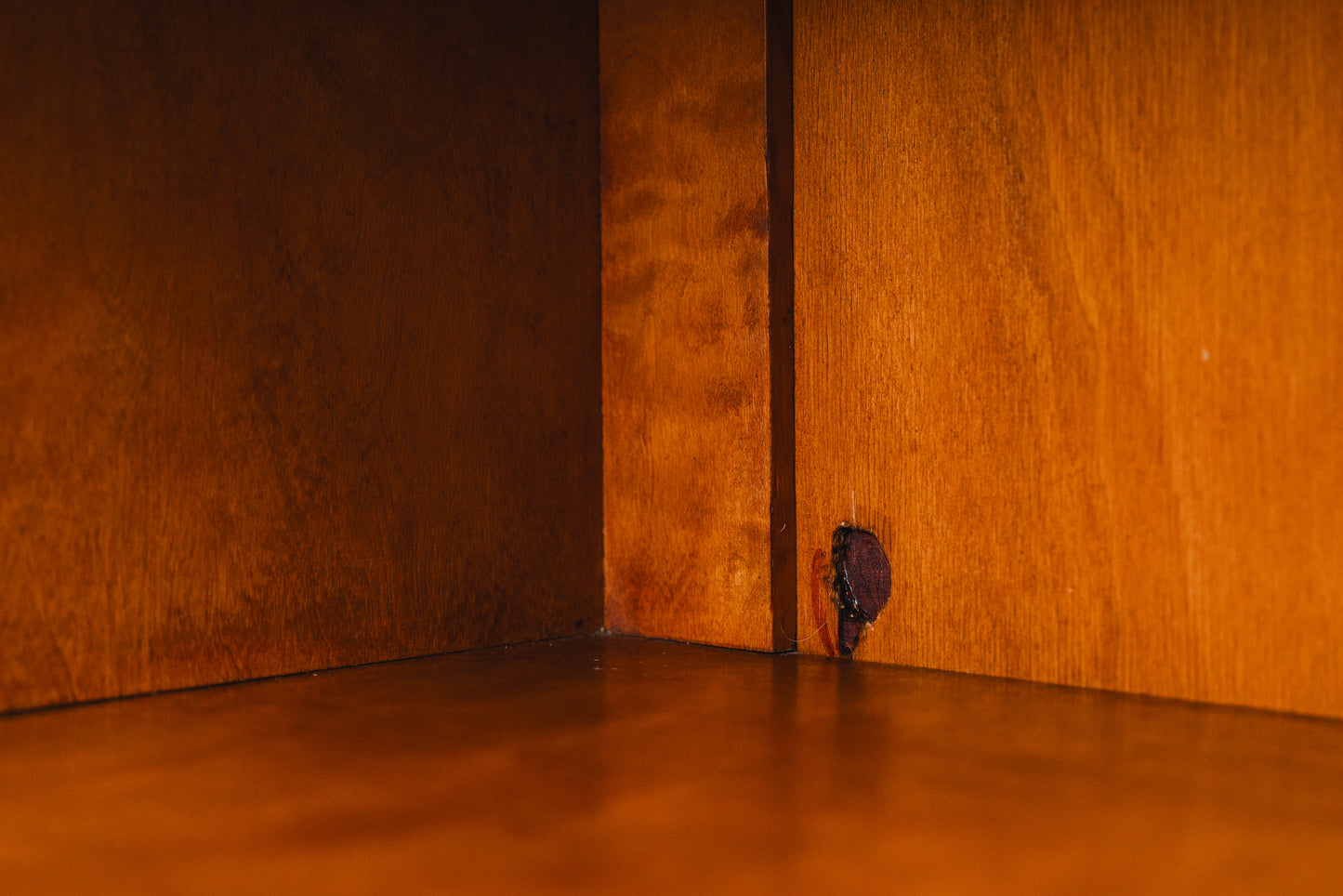 Bücherschrank im Biedermeier Stil in Birke - 1.Hälfte des 20.Jahrhunderts