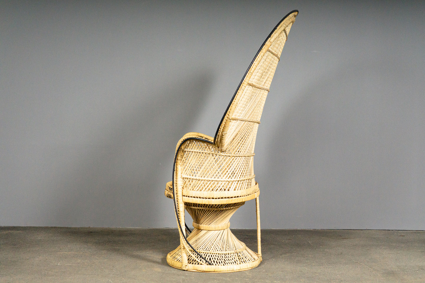 Wunderschöner Peacock Stuhl