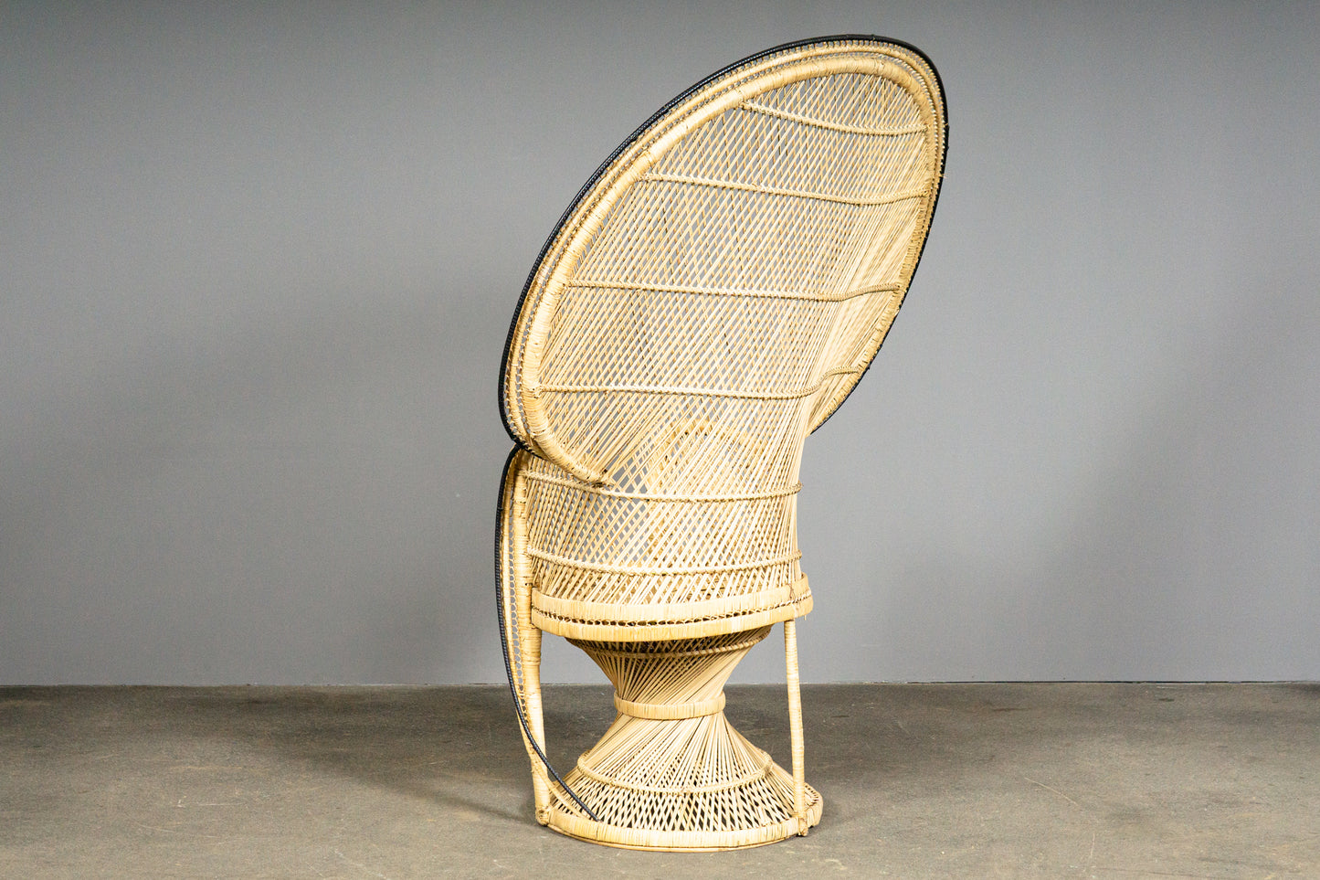 Wunderschöner Peacock Stuhl