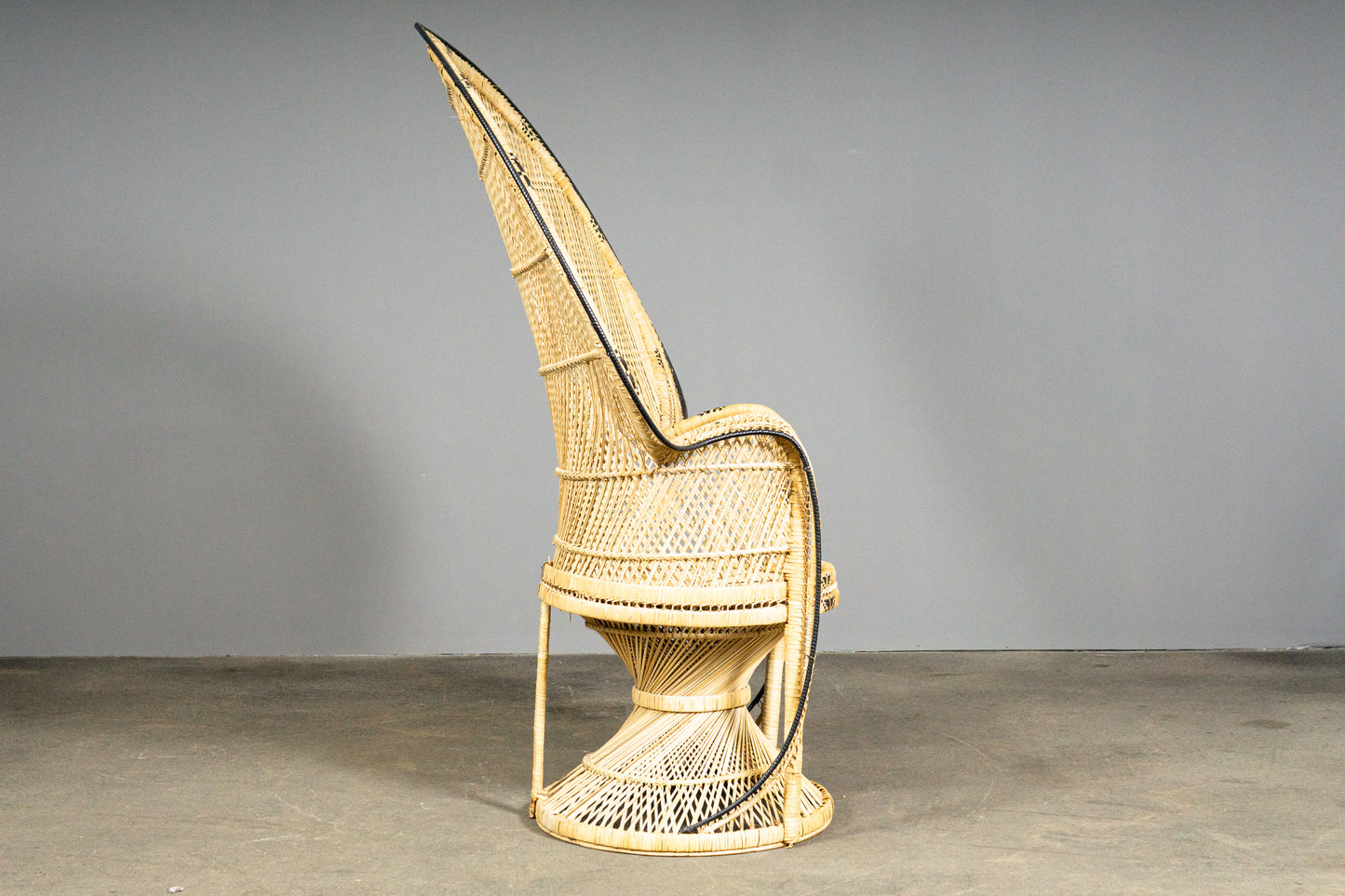 Wunderschöner Peacock Stuhl