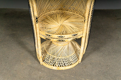 Wunderschöner Peacock Stuhl