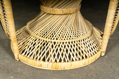 Wunderschöner Peacock Stuhl