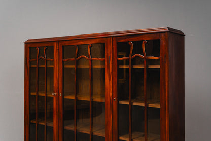 Eleganter Jugendstil Bücherschrank