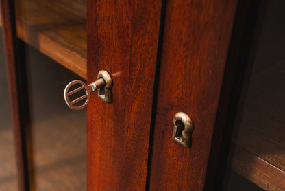 Eleganter Jugendstil Bücherschrank