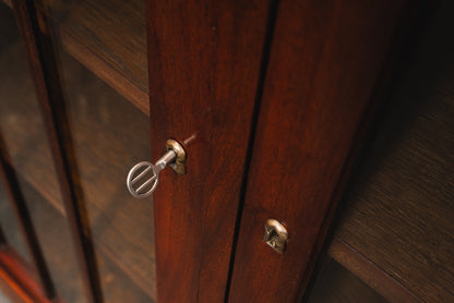 Eleganter Jugendstil Bücherschrank