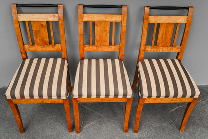 Biedermeier 6er Set Stühle in Birke - 19.Jahrhundert