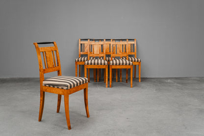 Biedermeier 6er Set Stühle in Birke - 19.Jahrhundert