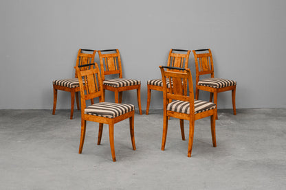 Biedermeier 6er Set Stühle in Birke - 19.Jahrhundert