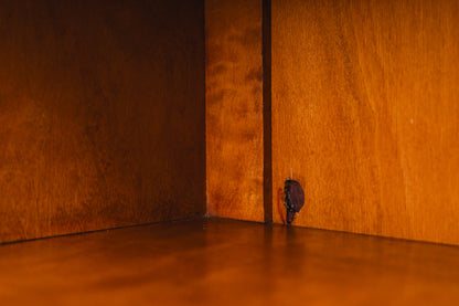 Bücherschrank im Biedermeier Stil in Birke - 1.Hälfte des 20.Jahrhunderts