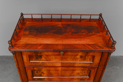 Schmaler Biedermeier Schrank in Mahagoni - Mitte des 19.Jahrhunderts